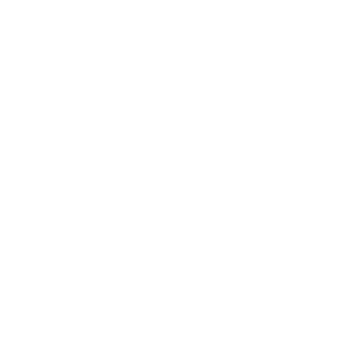 FANSIPAN VINA